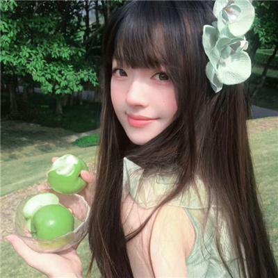 蟾蜍之路