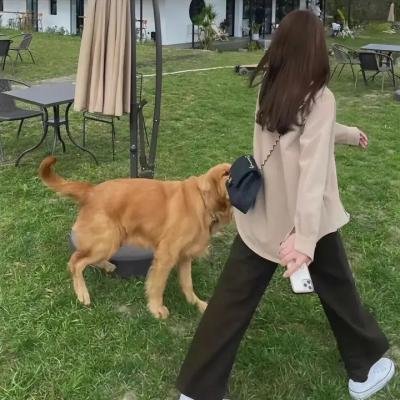铁线虫入侵